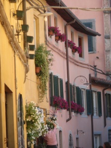 Flores em aptos da cidade de Lucca